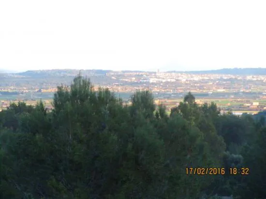 Wonderful Mallorcan estate finca near Alcudia with views, to renovate — photo 10