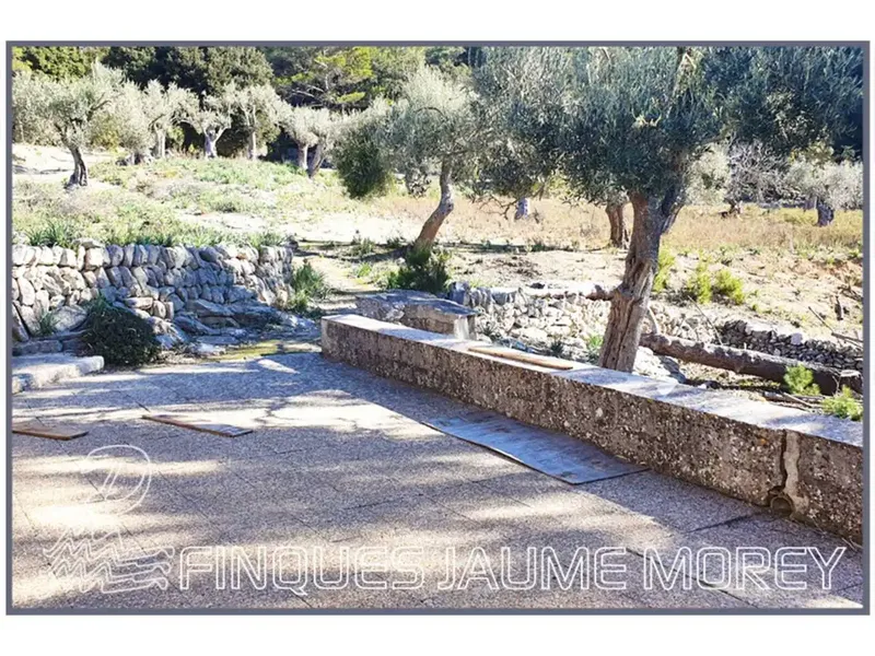 Beautiful rustic mountain estate for sale in Mancor de la Vall in a uniquely beautiful setting — photo 7