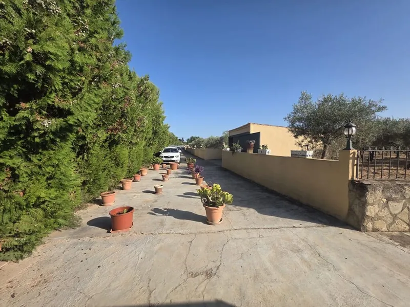 Semi-detached Villa for rent in Biniagual, Binissalem, Mallorca — photo 4