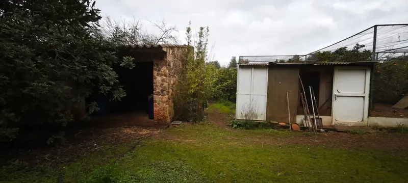 Rustic estate of 10,735 m² located in the municipality of Sencelles, accessed from the old road of Sineu. On the estate there is a house — photo 7