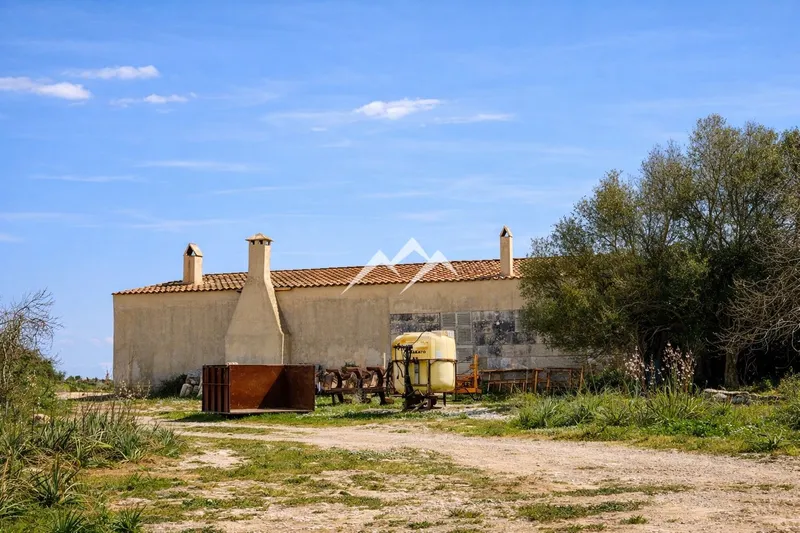Large Estate of 192,000 m² — photo 12