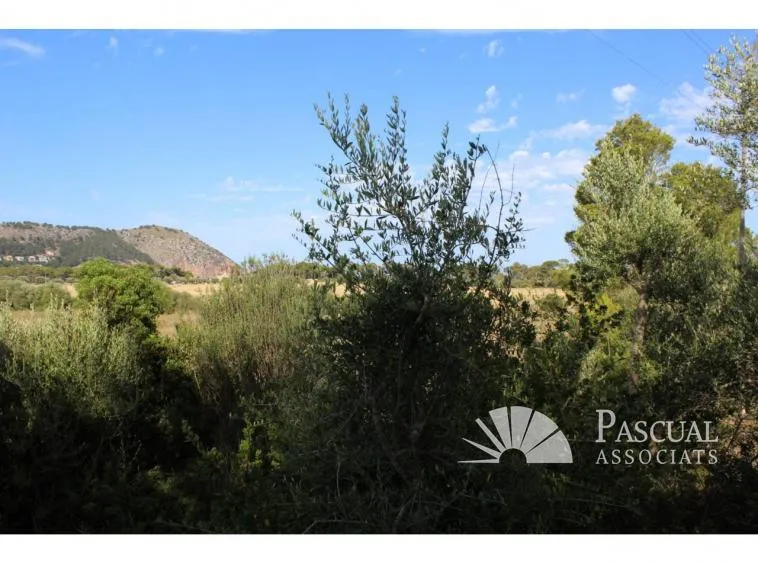Plot for sale in Canyamel — photo 7