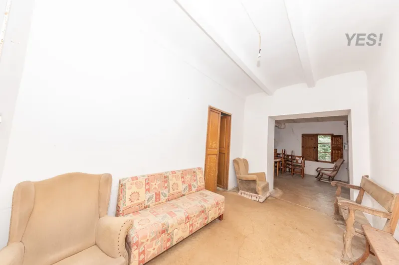 Country estate with woodland and large agricultural area in Maria de la Salud — photo 8