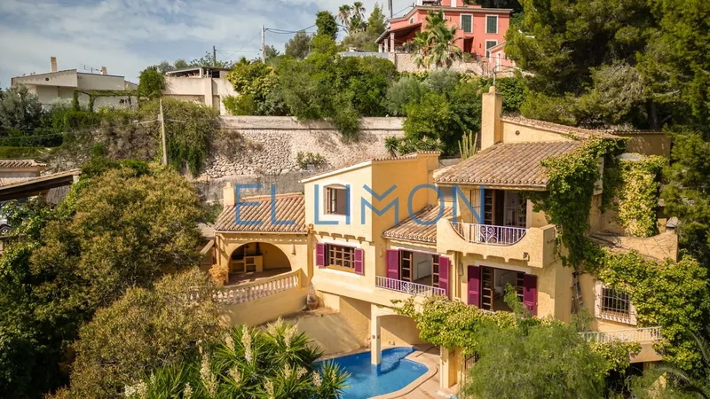 Chalet with pool — photo 1