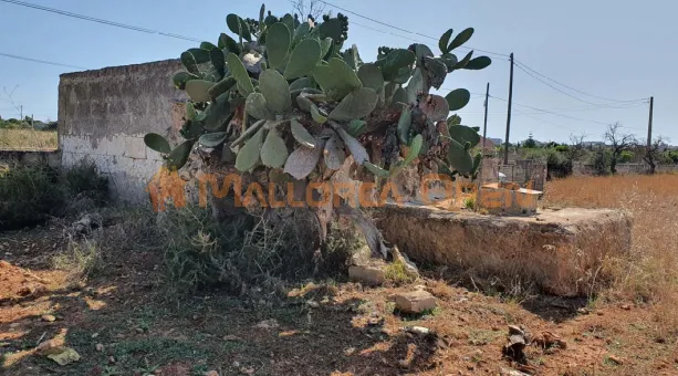 Plot with project and license in Manacor — photo 6