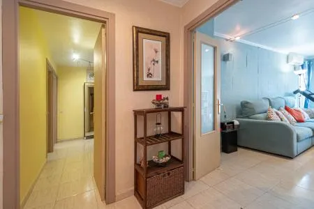 Flat - Palma de Mallorca (Plaza de Toros), Built Surface 117m², Terrace Size 7m², 4 Bedrooms, 2... — photo 7