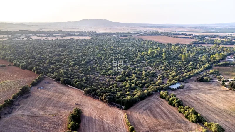 Rustic Finca for sale in Vilafranca de Bonany — photo 4