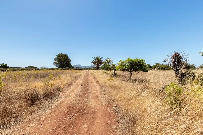 In an environment of absolute calm, surrounded by nature and with the charm of the rural landscape of Felanitx, this magnificent estate extends — photo 10