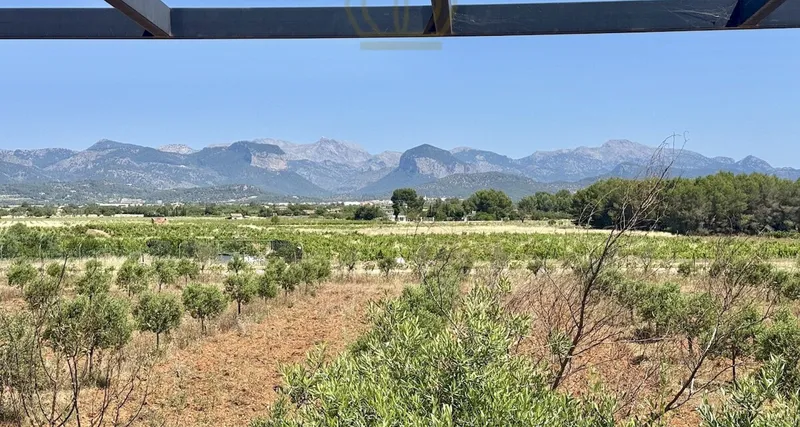 Beautiful new build finca near Santa Eugenia with large fertile garden and views of... — photo 7