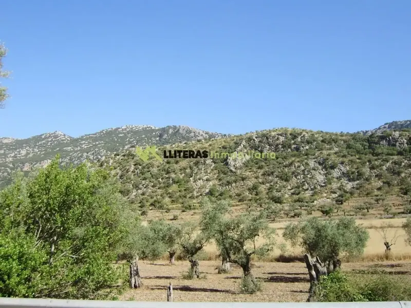 Fantastic estate in the valley between Alaro and Orient, in a paradisiacal setting surrounded by mountains. With an area of more than 50,000 m2 and u — photo 2