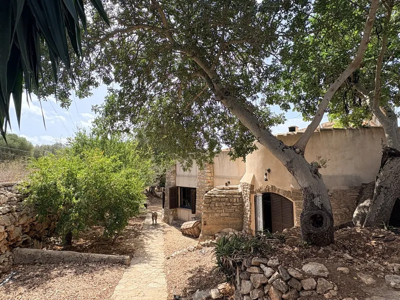 Rustic finca with pool and fountain near Cala Santanyi — photo 5