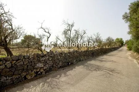 Rural Land - Santa Margalida, Plot Surface 14310 m², Distance to the Sea 6 km — photo 3