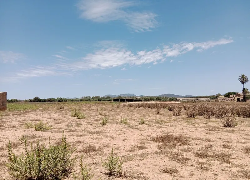Two Adjacent Plots in Land Campos: Permit-Ready for Main & Guest Homes — photo 1