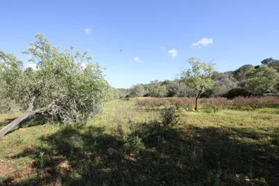 Magnificent building land of 21,500 m2 approx. between Porto Petro and S'Alquería — photo 1