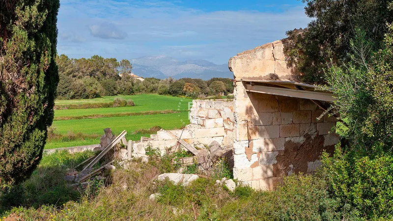 Country plot for sale in Muro — photo 11