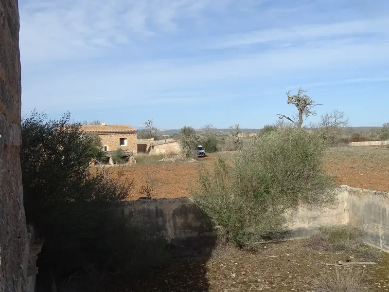 Estate of more than 22,000 m2, located between Campos and Santanyi, within the municipality of Campos, about three kilometers from the village of Campos — photo 10