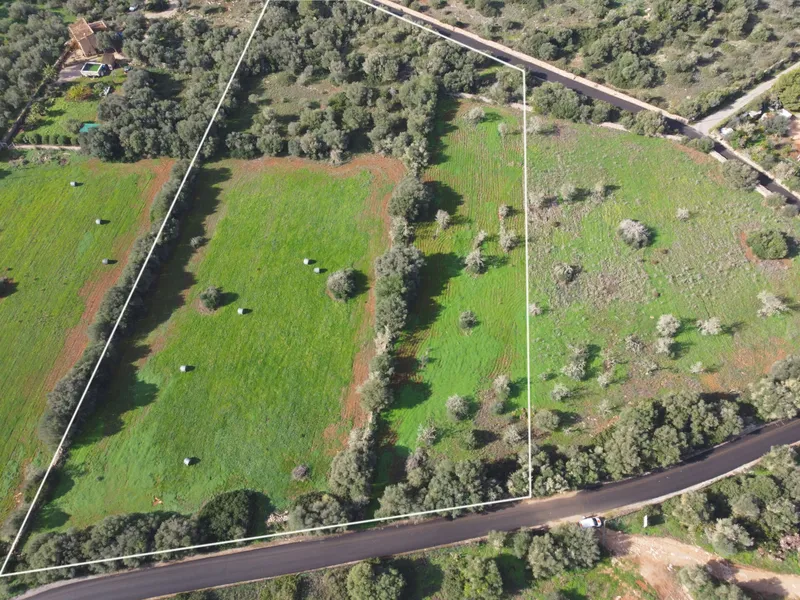 Buildable plot in Ses Salines, Mallorca — photo 3