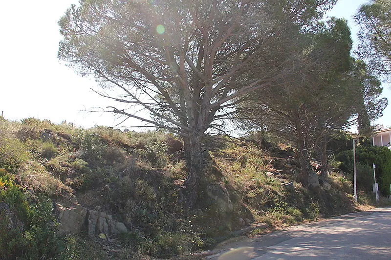 Plot for sale in El Port de la Selva — photo 3