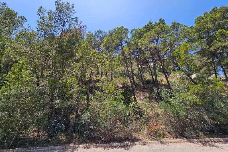 Large sea-view building land with three plots in Port Andratx 1 — photo 2
