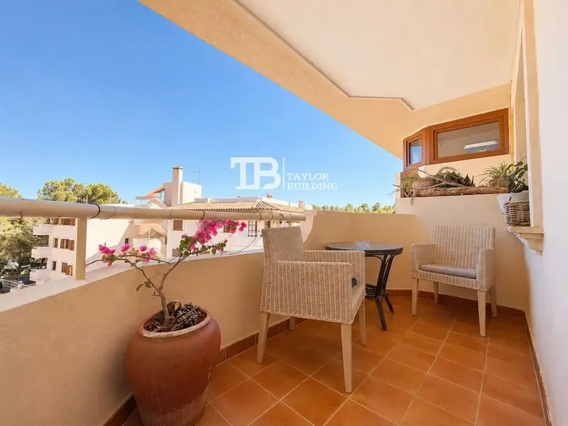 Taylor Building exclusively sells this apartment in Paguera, Calvia. It is a renovated apartment of 83.00 m2 built (75.00 m2 usable) with — photo 4