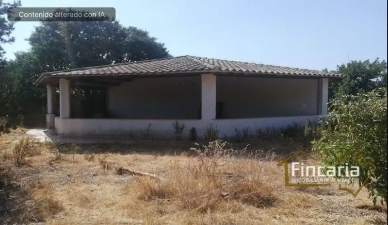 Country House in Sa Pobla, Province of Balearic Islands — photo 9