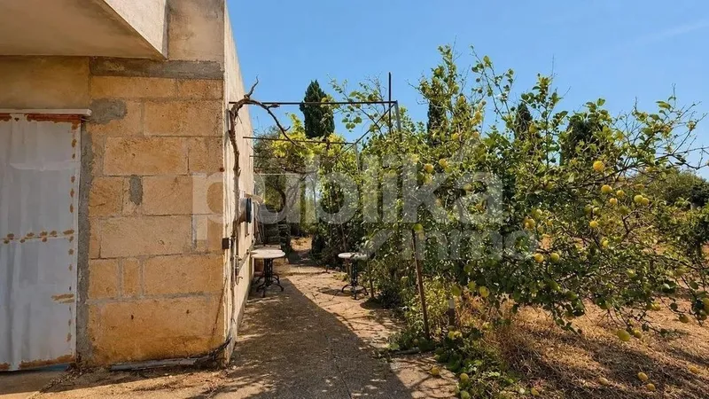 Rural or Farmhouse in Muro, Province of Balearic Islands — photo 6