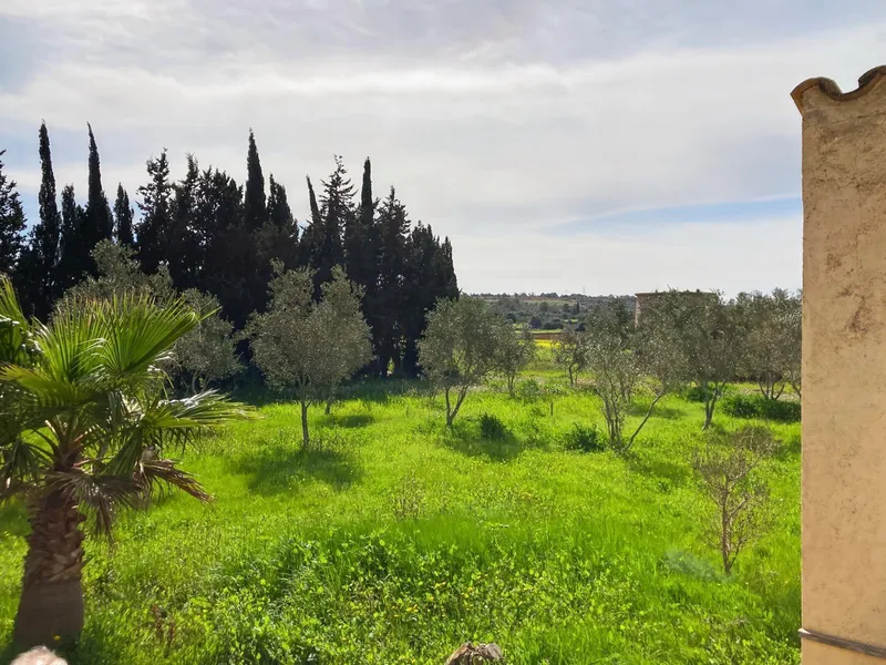 House with estate and impressive views to renovate — photo 12