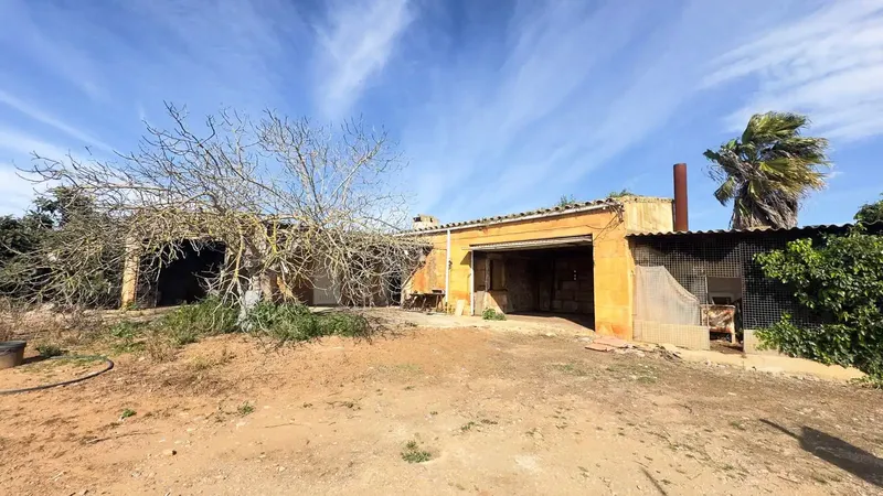 Rustic finca with its own well and 14,186 m² of land in Muro — photo 3