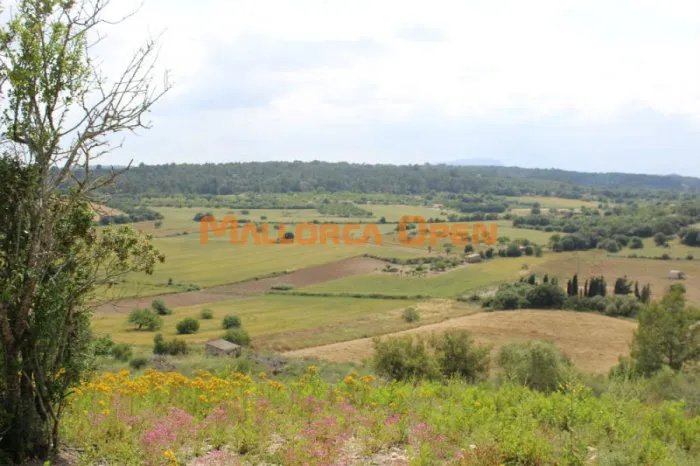 Rustic land for sale in Villafranca — photo 5
