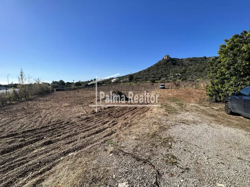 Land for sale in Son Servera of 6451 m2 — photo 9
