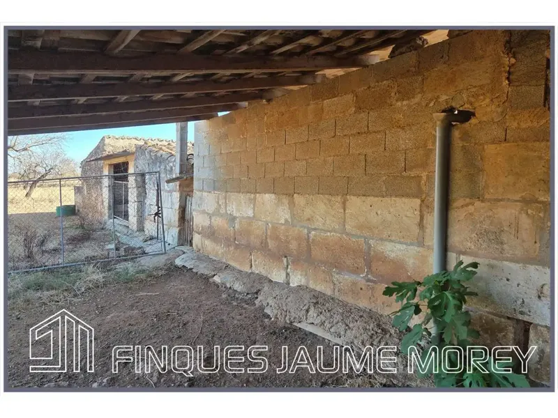 En el municipio de Búger les ofrecemos esta finca rústica de uno 8.000m2 de terreno con una edificación agraria existente de unos 240m2 apro — photo 10