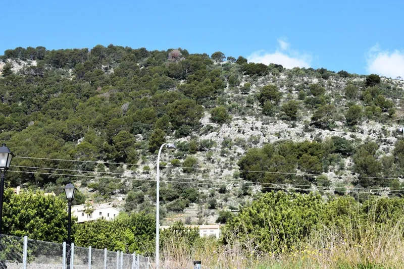 Plot for sale in Alaró with excellent construction potential — photo 1