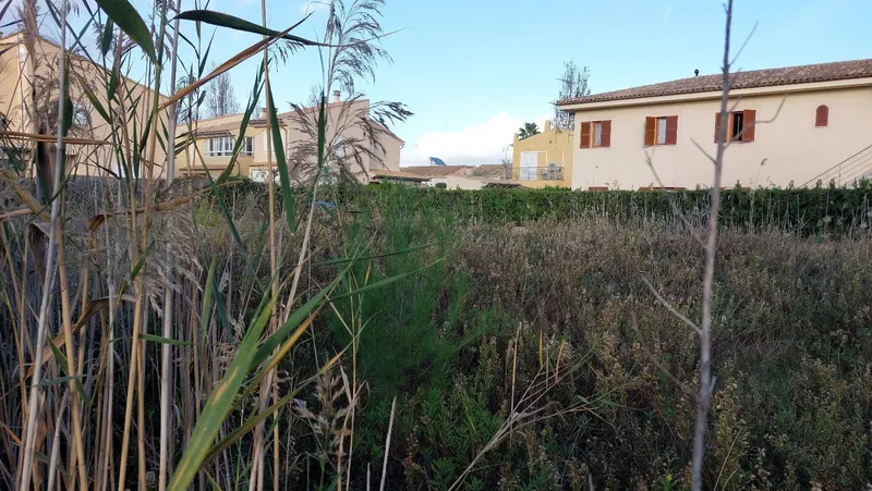 Urban plot of 933 m² in Port d'Alcudia — photo 2
