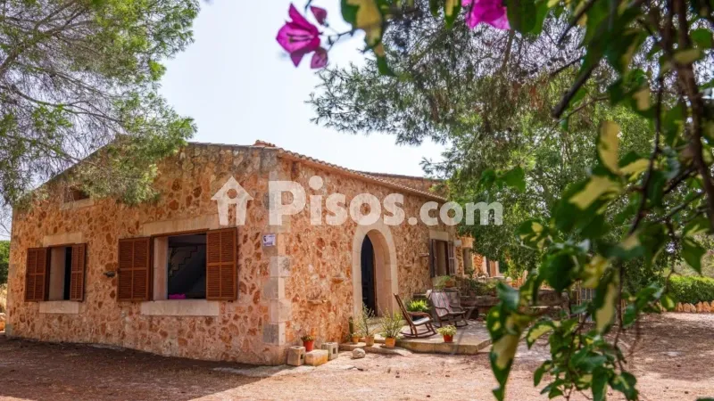 Rustic finca on Calle Es Molí — photo 2