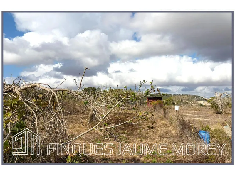 Rustic house — photo 12