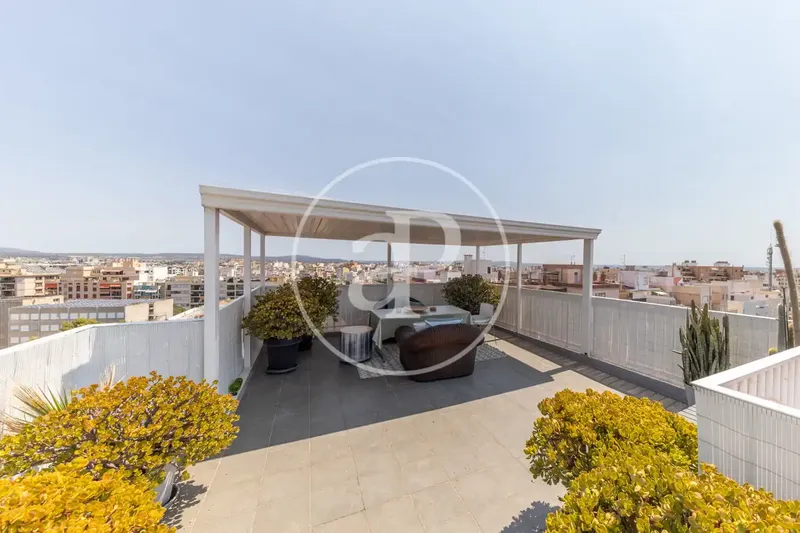 Designer penthouse with 120 m² of terraces and sea views for sale in S'Escorxador — photo 5