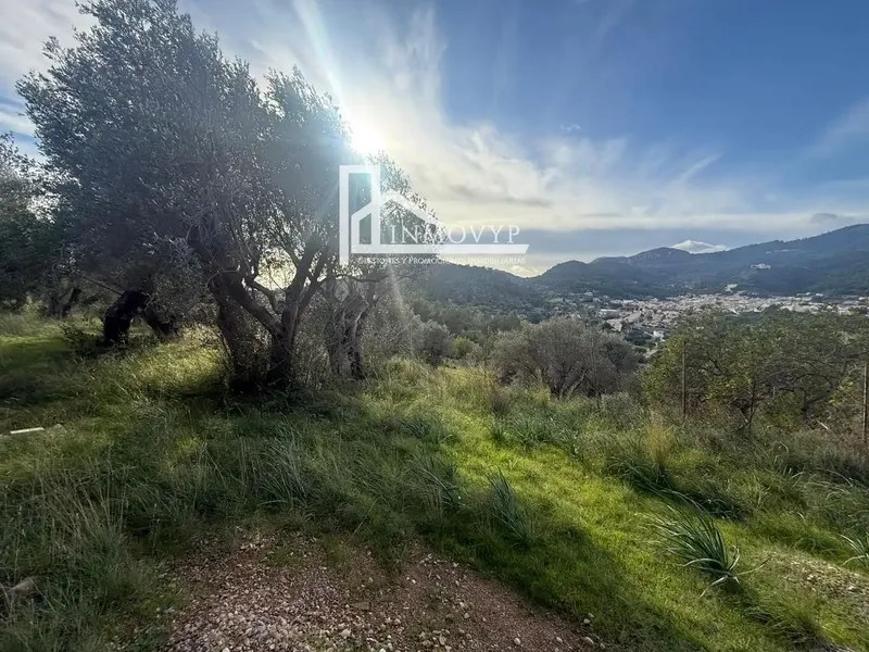 Beautiful rustic estate for sale in Mancor de la Vall (Mallorca), located in a privileged position, at the highest point of the municipality — photo 3