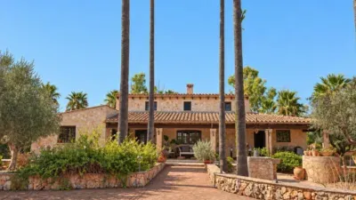 Rustic finca on the outskirts — photo 3