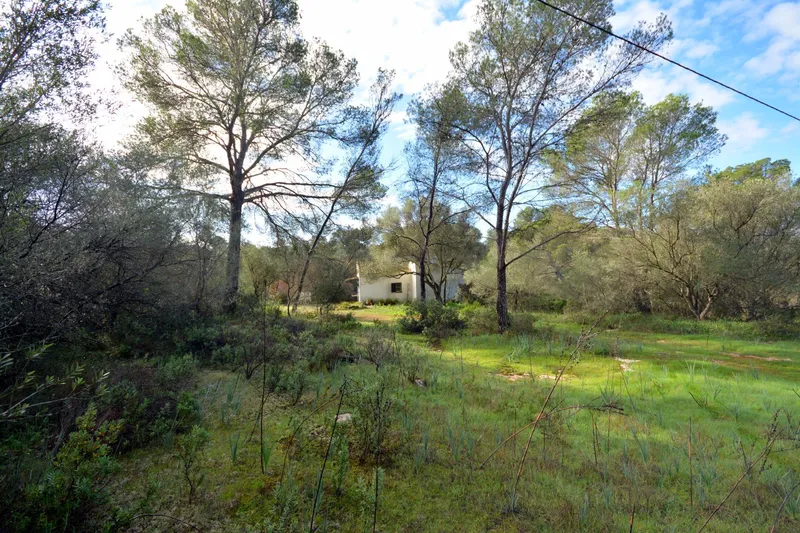 Charming Rustic Estate in Casa Blanca — photo 8