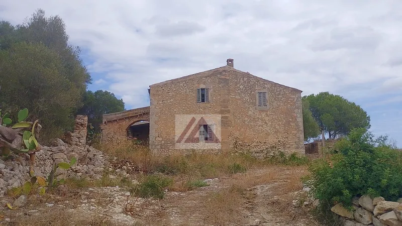 Ländlichles Land zu verkaufen in Sant Llorenc des Cardassar — photo 3