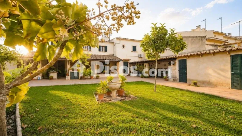 House in Establiments - Son Sardina — photo 4