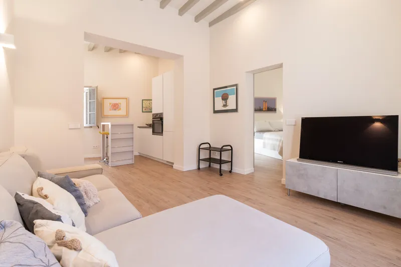 Bright and Modern One-Bedroom Apartment in Santa Catalina - Available from the 8th of August — photo 3