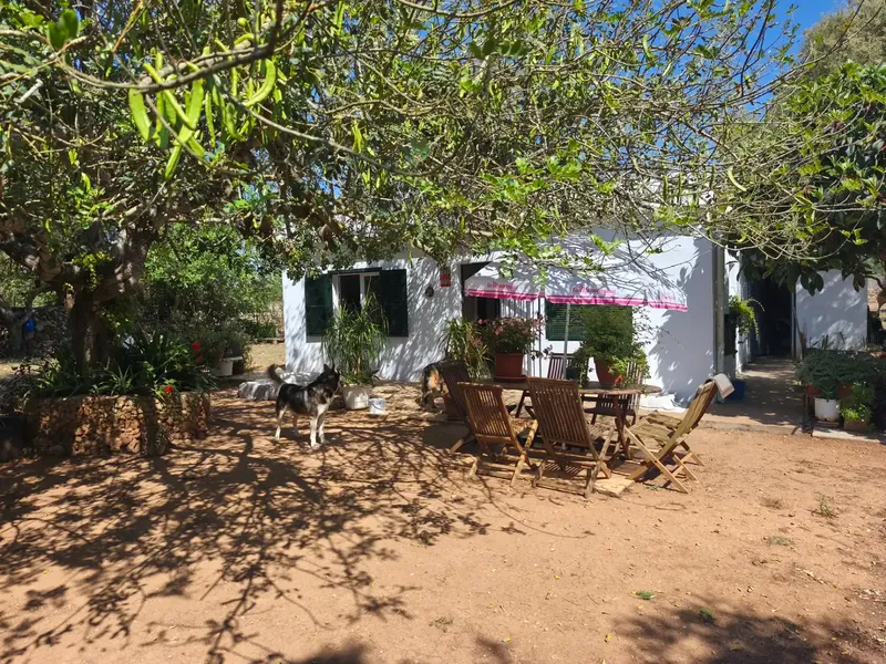 Independent House with Rural Charm and Total Energy Self-Sufficiency — photo 6