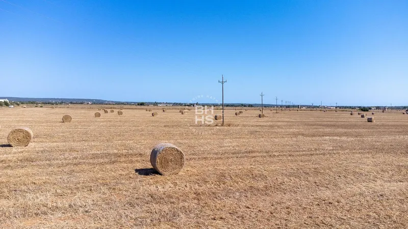 Rustic Finca for sale in Campos — photo 6