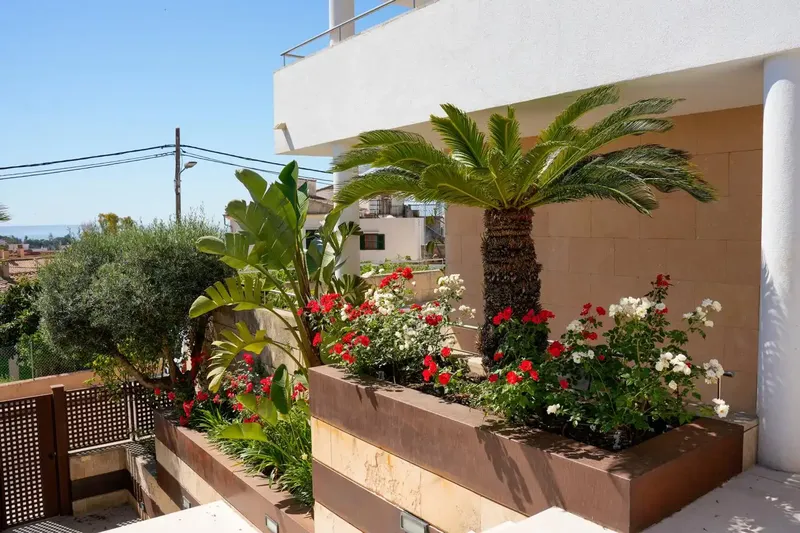 Luxury villa with sea views in Génova – Palma de Mallorca — photo 8