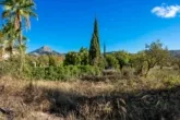 Building plot in a dream location in Es Capdella — photo 7