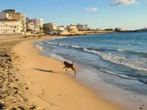 Piso luminoso cerca de la playa! — photo 12