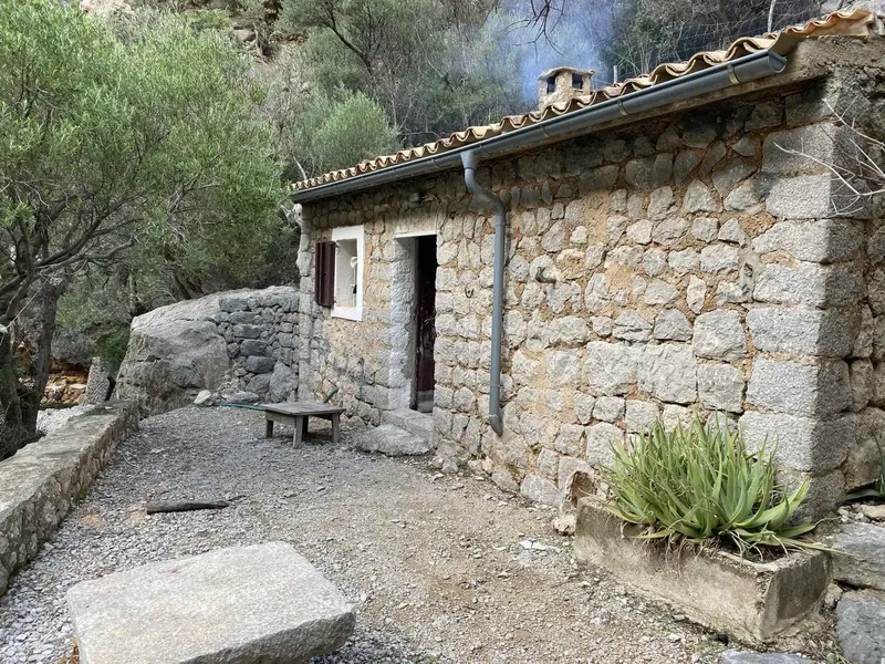 No car access! 30 min on foot. Barranc de Biniaraix, more than 100 olive trees, 19,000 m2. Real estate agencies abstain. — photo 1