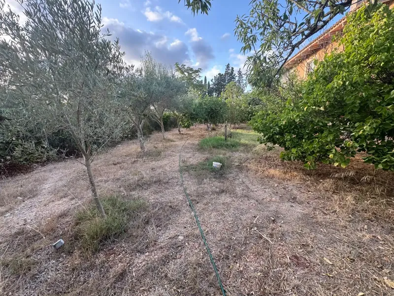 Marratxi-Son Ametler, house of about 166 m2, on one floor, spacious rooms, 3 bedrooms, 2 living rooms, 2 bathrooms, large parking area — photo 7