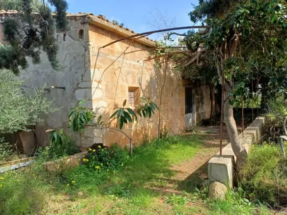 Land For Sale in Santa Maria Del Cami Mallorca — photo 1